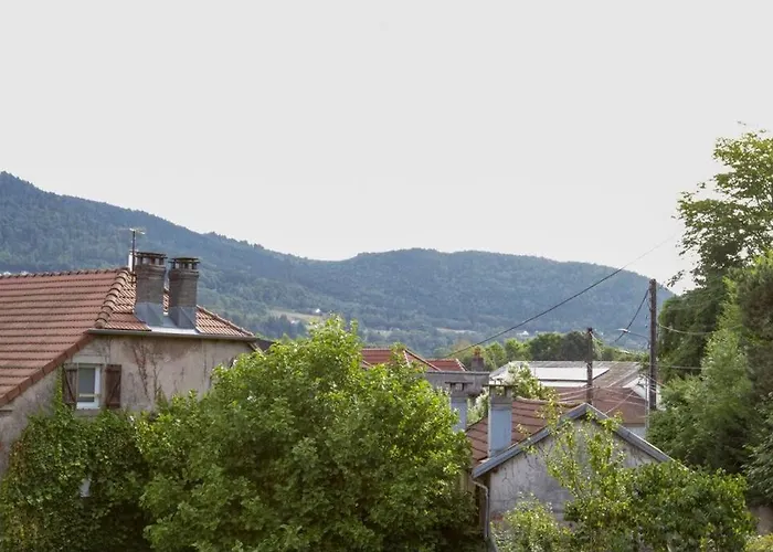 Lägenhet Avec Jardin Centre Remiremont